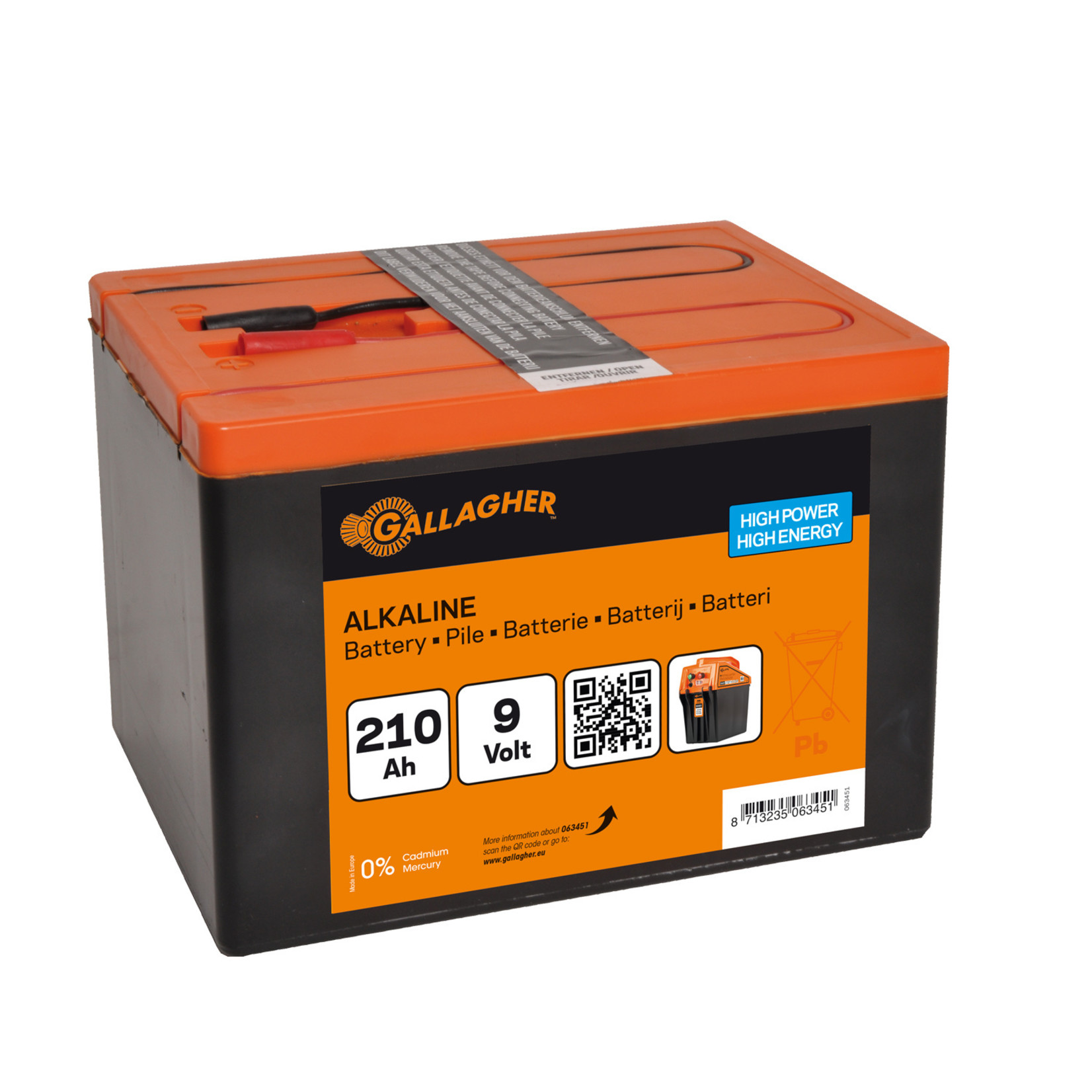 Gallagher Pile Gallagher Powerpack – 9 V, 210 Ah