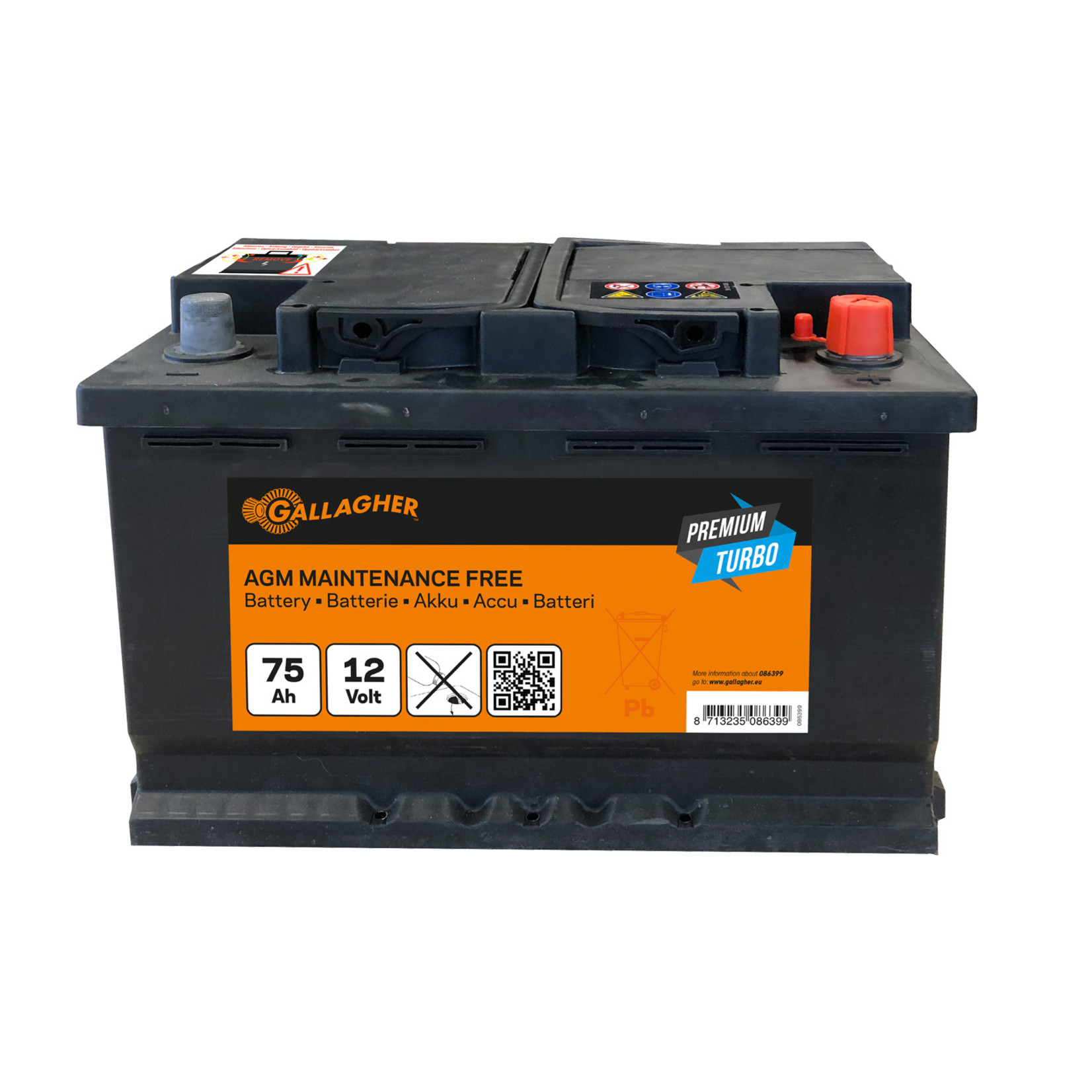 Gallagher Électrificateur solaire Gallagher S230 – B200, panneau 30 W, batterie 75 Ah
