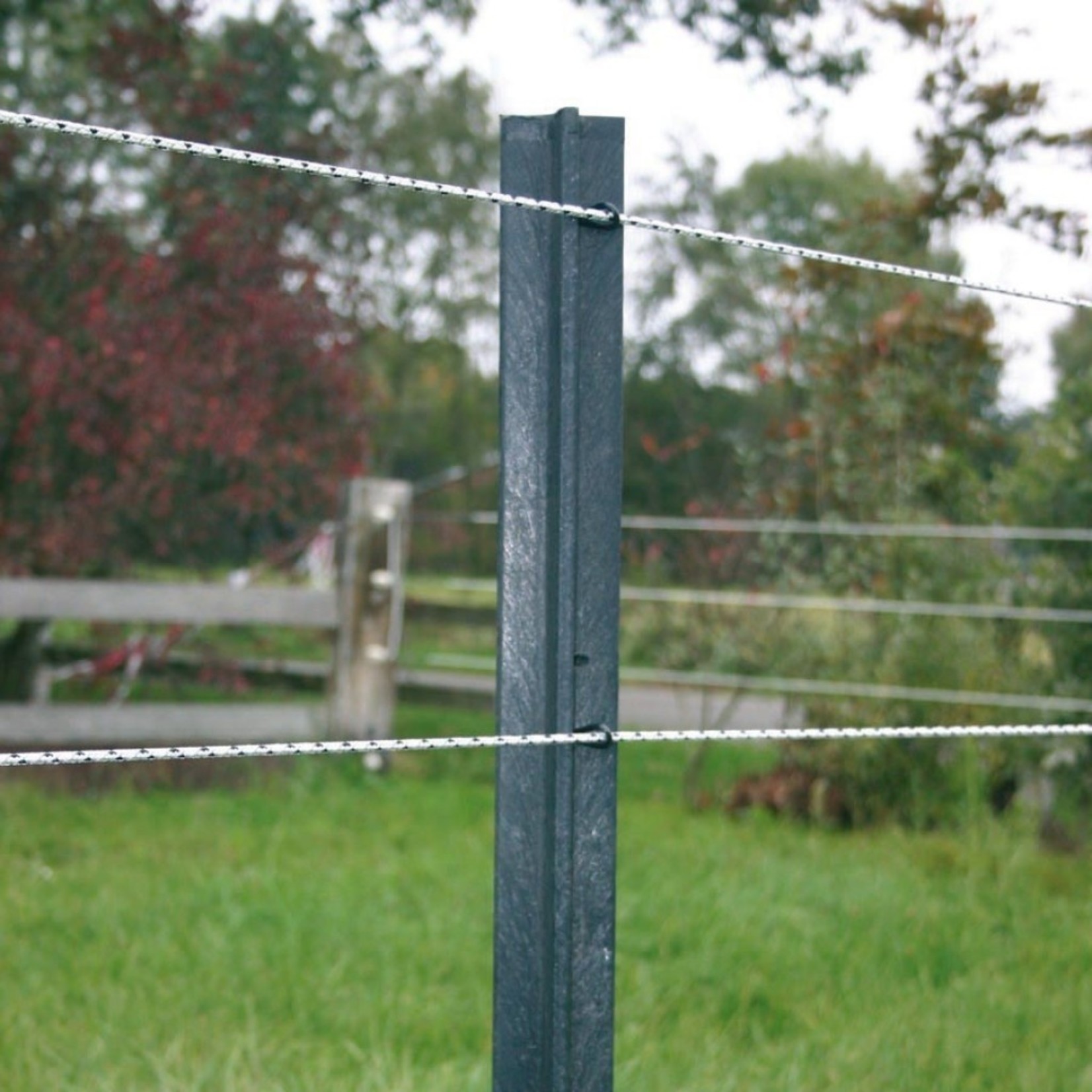 Gallagher Cordon de clôture Gallagher PowerLine – blanc, 200 m