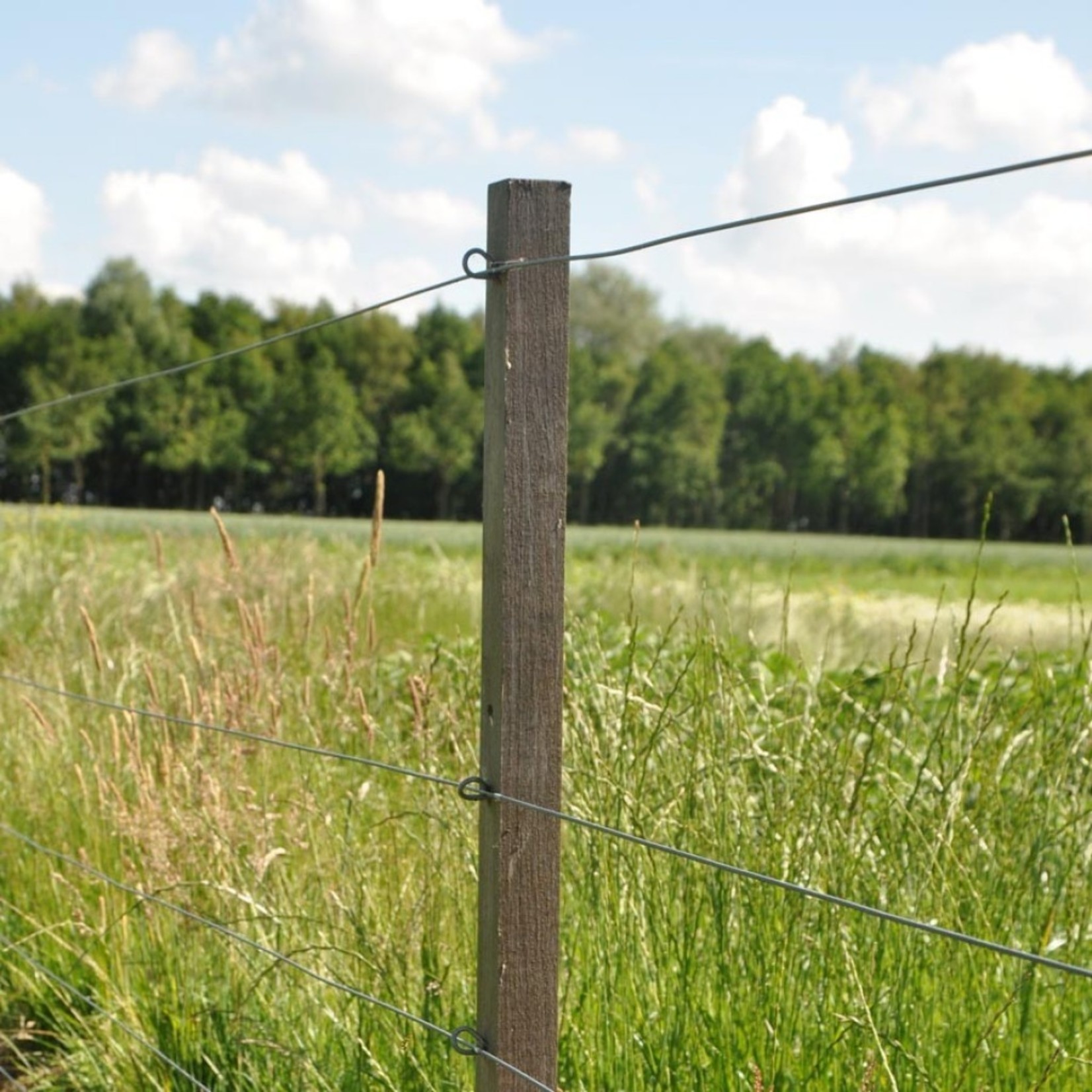 Gallagher Insultimber (FSC®) Jambe de force (4,0 x 8,0cm - 2,00 mètre)