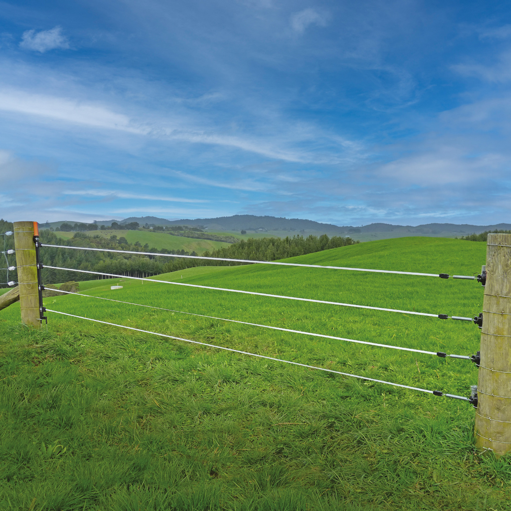 Gallagher Kit de porte 4 rubans Gallagher – 12,5 mm, blanc, 6 m