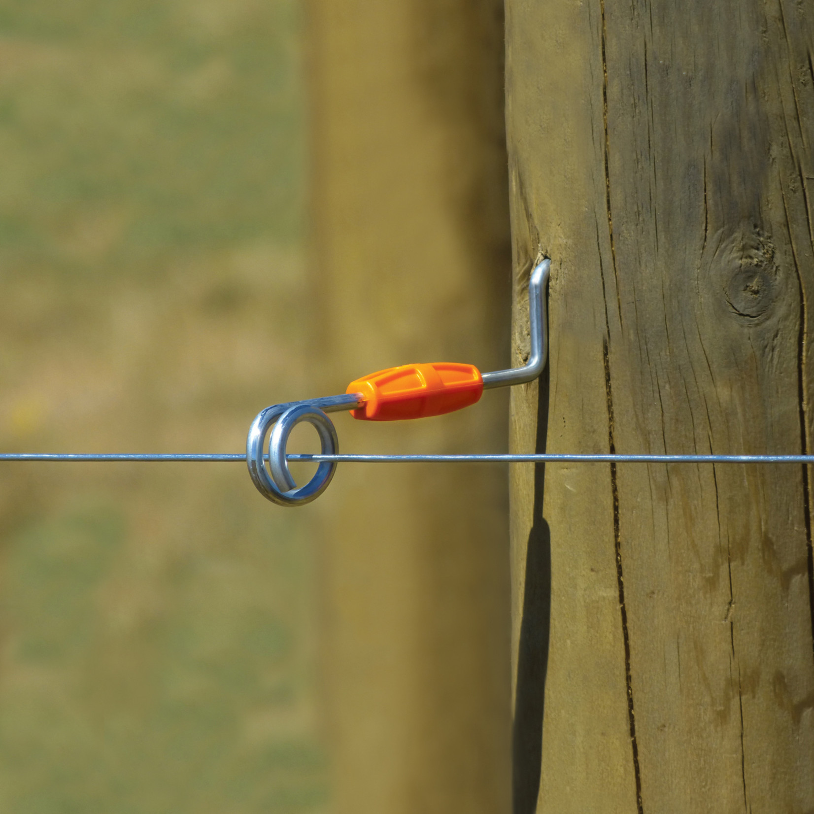 Gallagher Isolateur à distance Live Tip (160mm, 20 pcs)