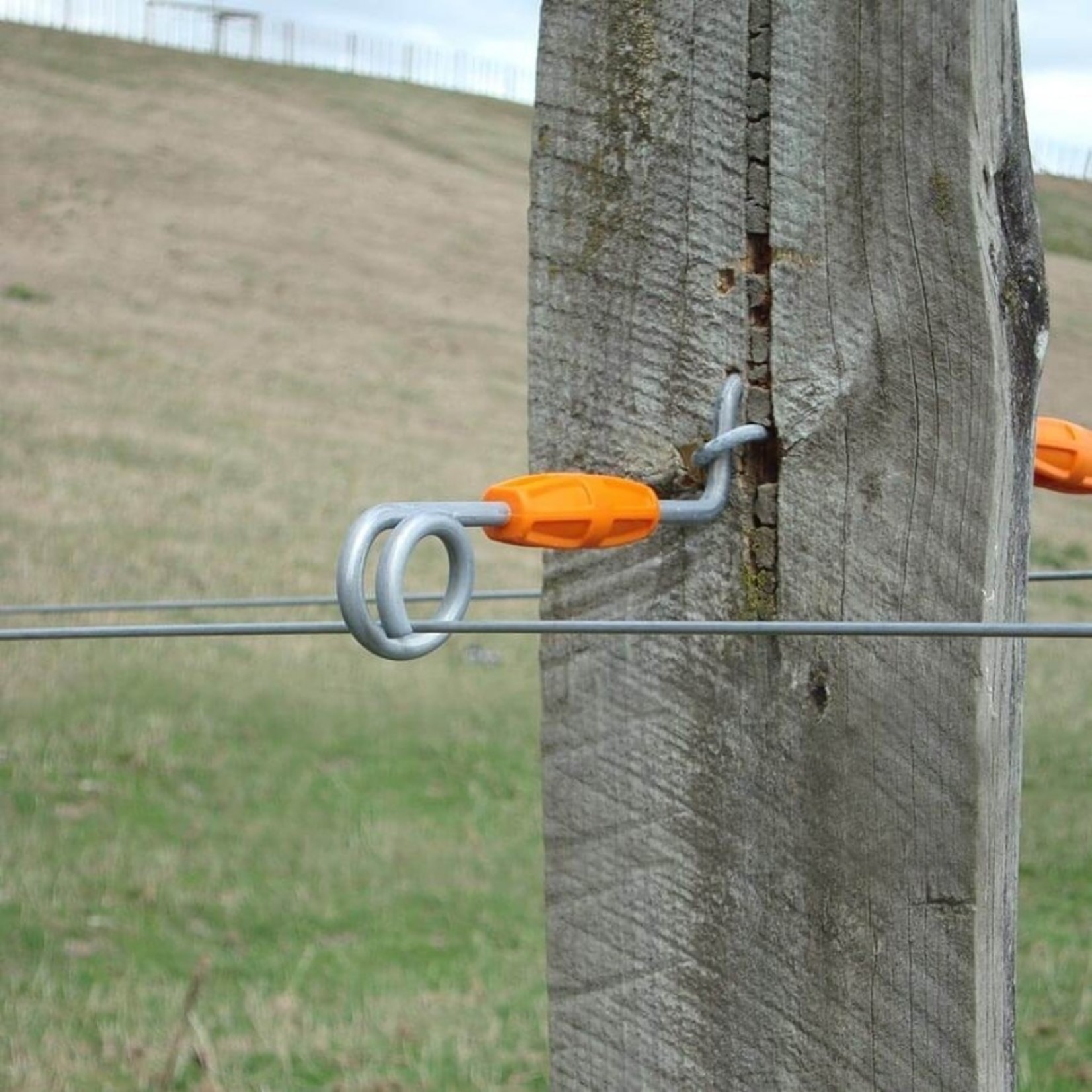 Gallagher Isolateur à distance Live Tip (160mm, 20 pcs)