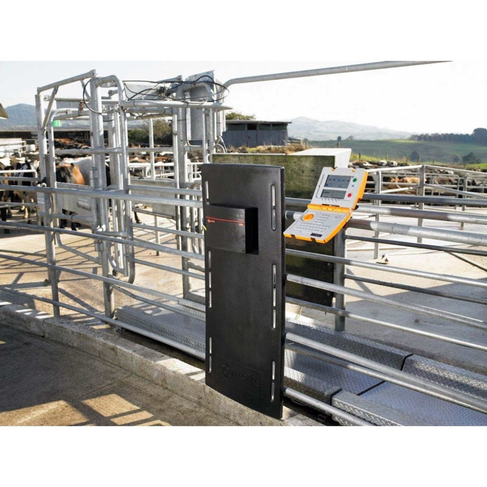 Gallagher Antenne panneau EID Gallagher – 1 300 x 600 mm