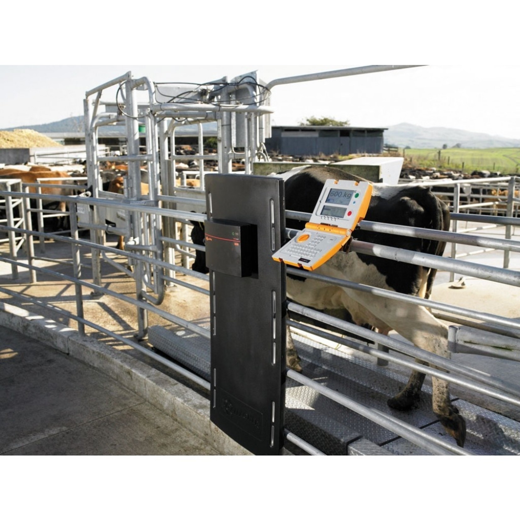 Gallagher Antenne panneau EID Gallagher – 1 300 x 600 mm