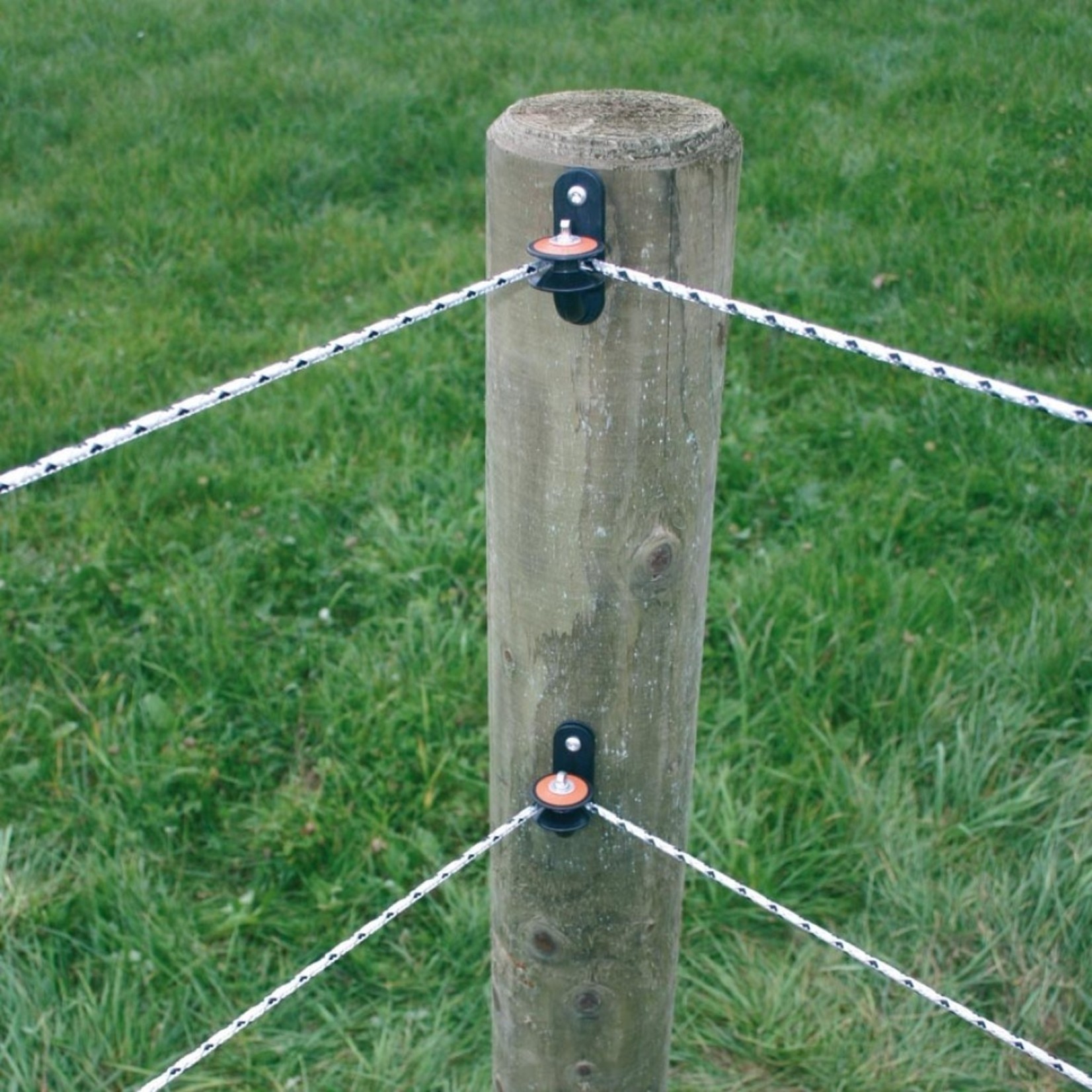 Gallagher Cordon de clôture Gallagher PowerLine – blanc, 500 m