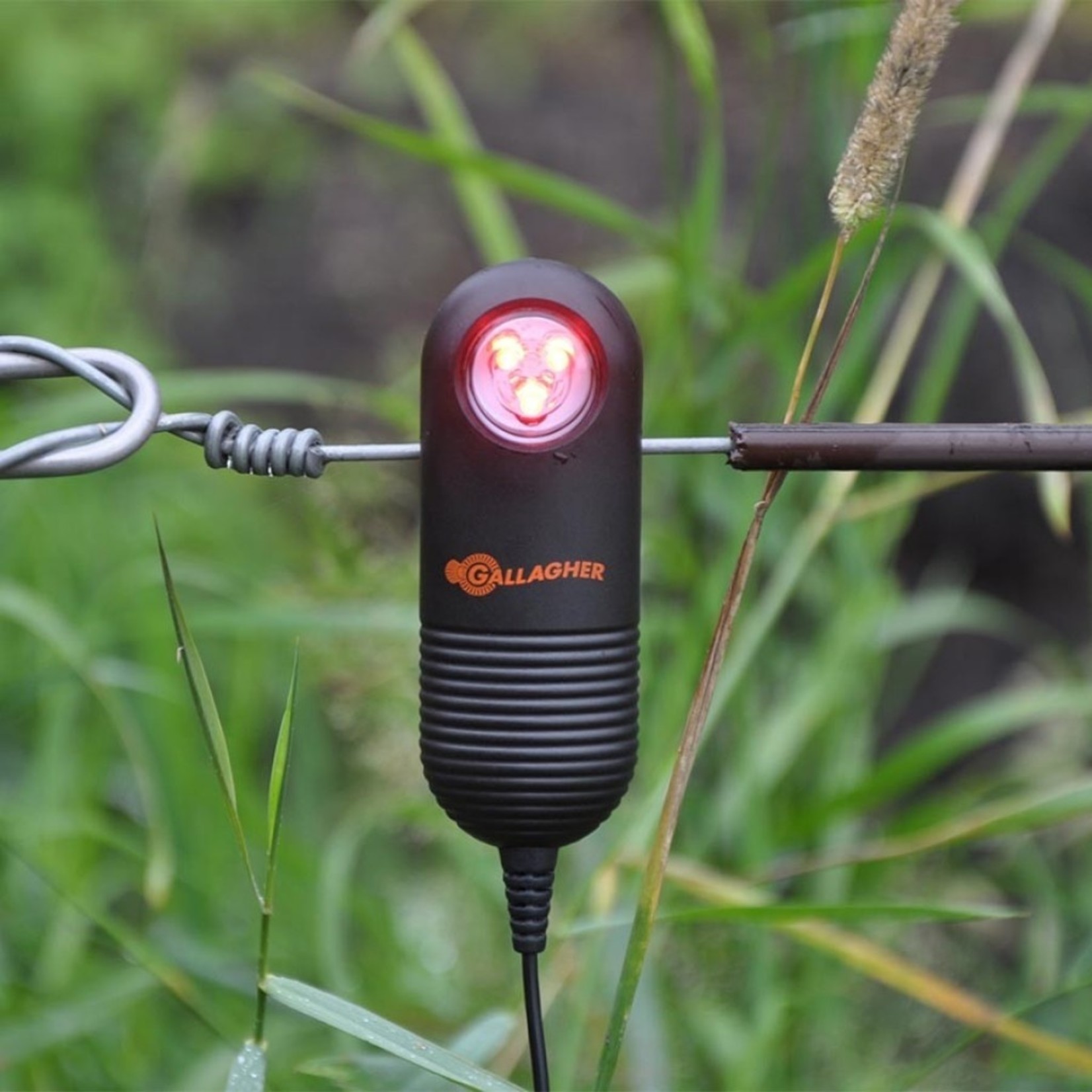 Gallagher Témoin de clôture LED Gallagher Live Fence
