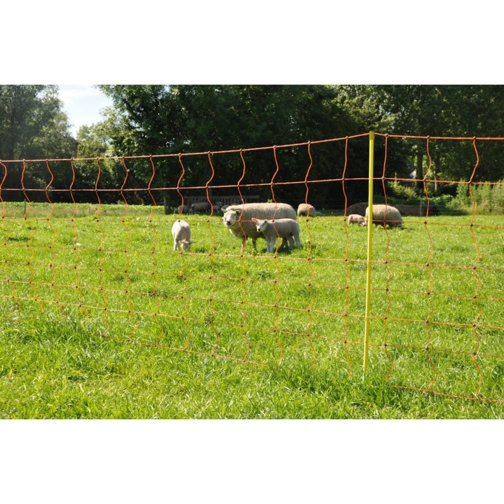 Gallagher Filet pour moutons Gallagher – 90 cm, 50 m, orange, 1 pointe