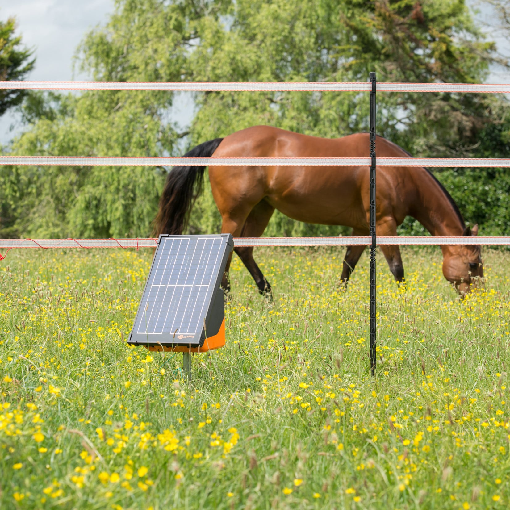 Gallagher S200 Électrificateur solaire avec 2 batteries (2,0 J - Solaire)