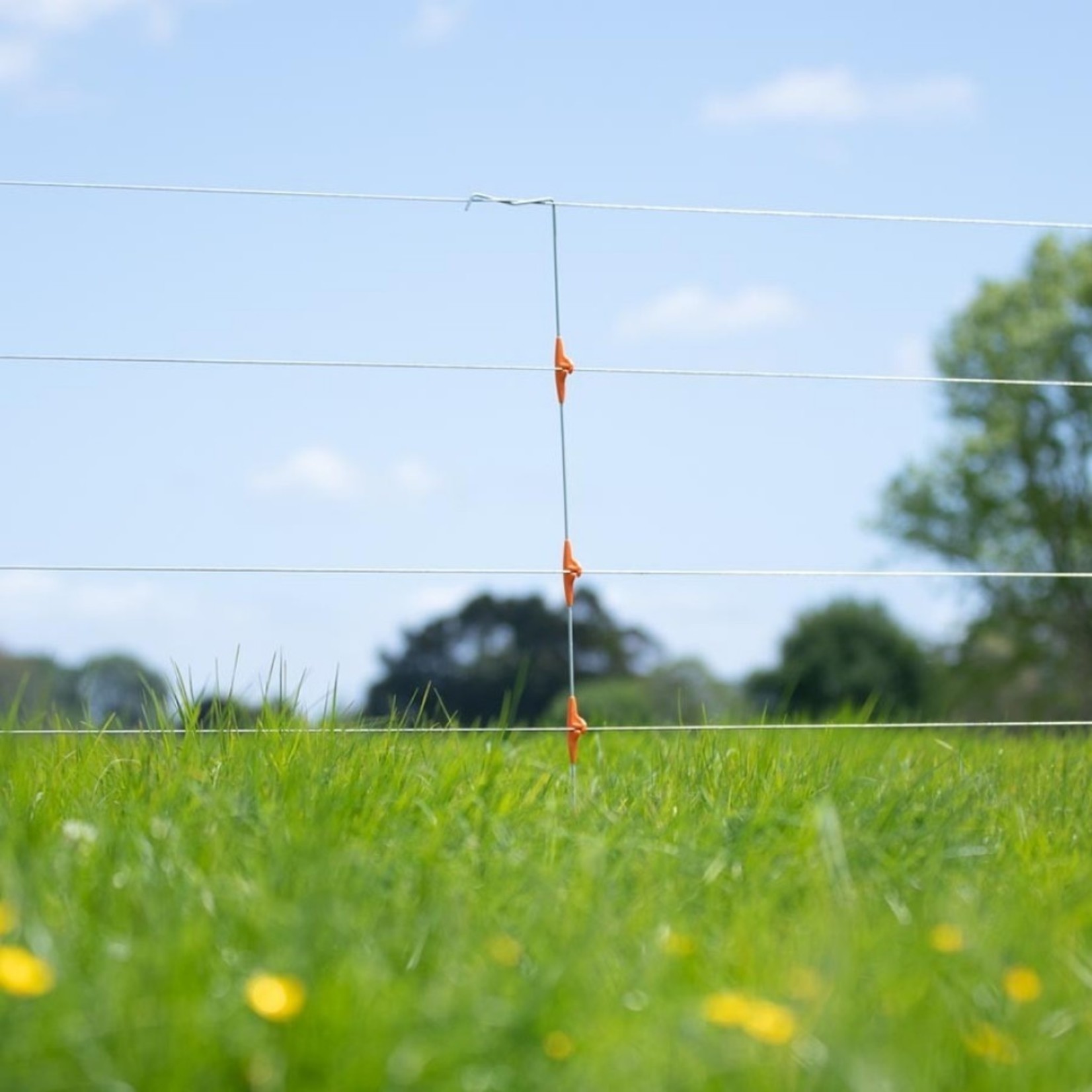 Gallagher Line post isolé interm. 0,95m (10)