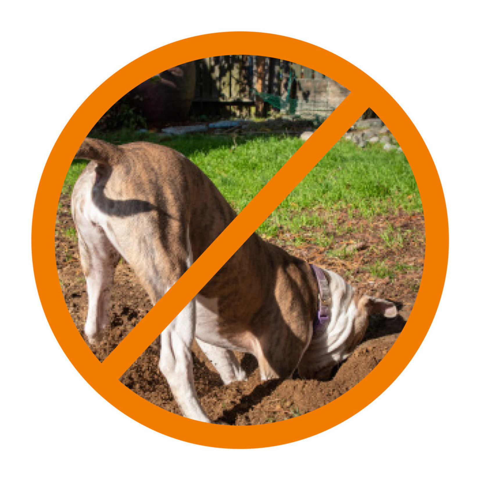 Gallagher  Kit Jardin M35 230V – 50 cm