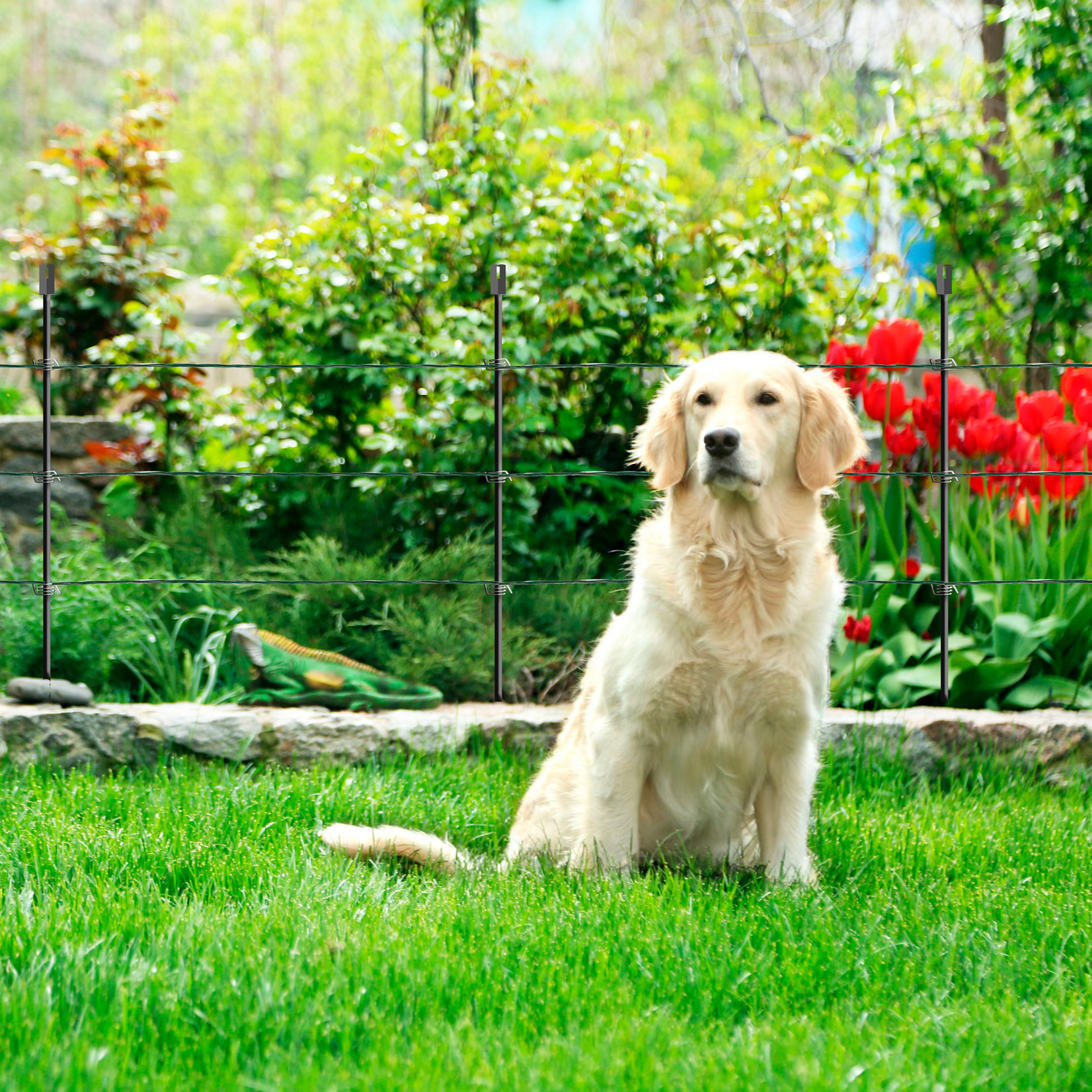 Gallagher Kit Jardin M35 230V – 80 cm