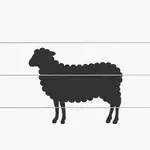 Clôture électrique pour moutons