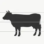 Clôture électrique pour bovins