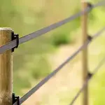 Ruban ou fil de fer pour clôture électrique