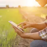 Comment bien planifier une clôture électrique