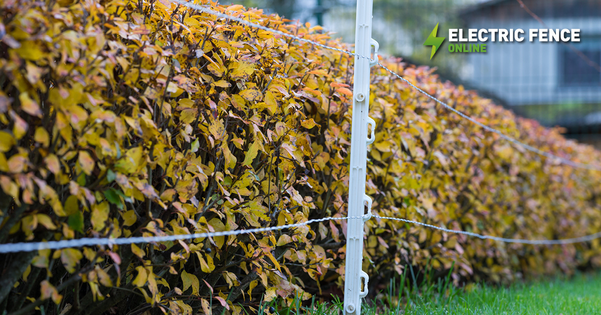 Votre clôture est-elle prête pour l’automne ?