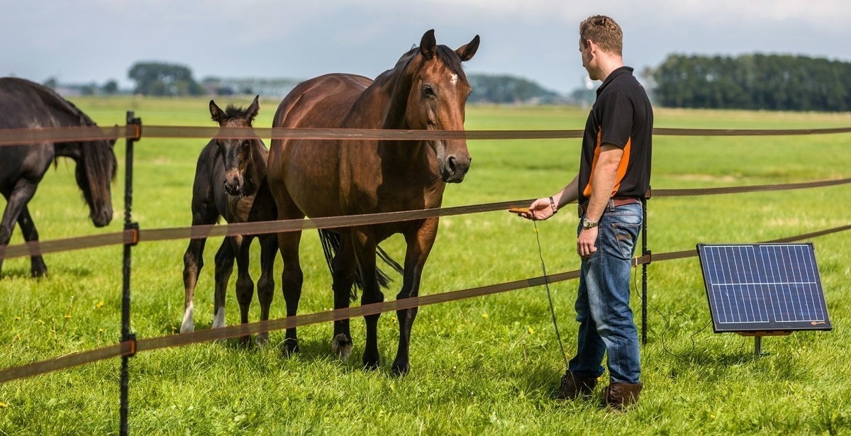 Comment installer des clôtures électriques pour chevaux