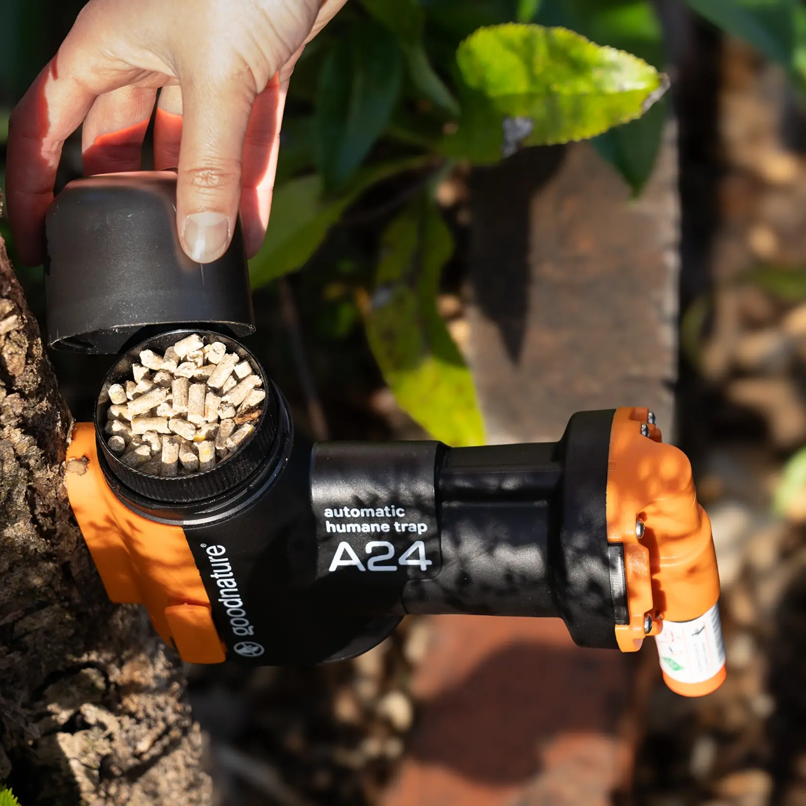 Goodnature Goodnature® Piège à rats A24 (piège à ressort) Kit de démarrage