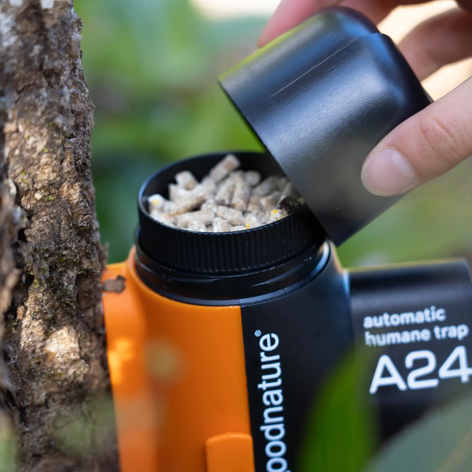 Goodnature Goodnature® Piège à rats A24 (piège à ressort) Kit de démarrage