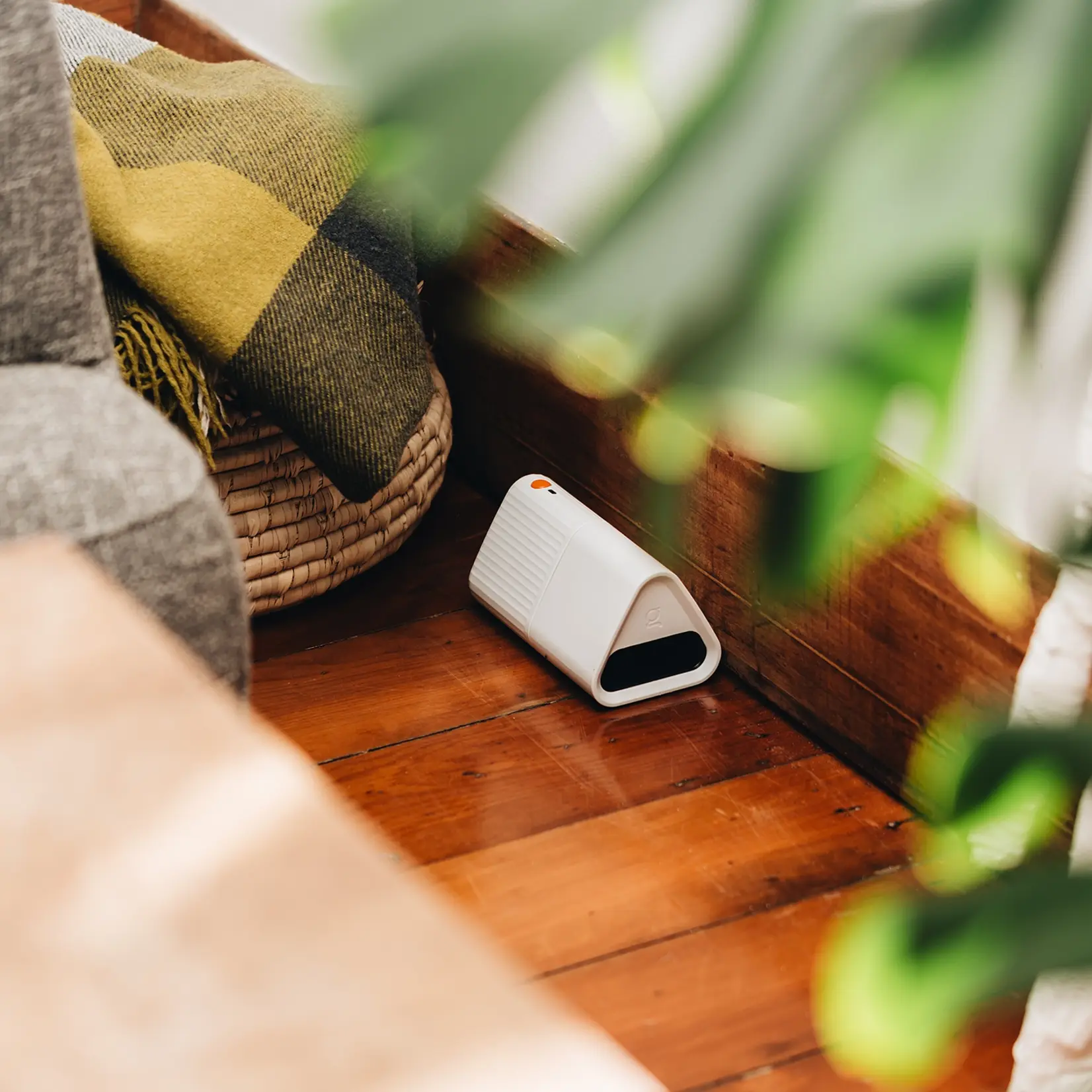 Goodnature Piège à souris automatique Goodnature® - Kit complet