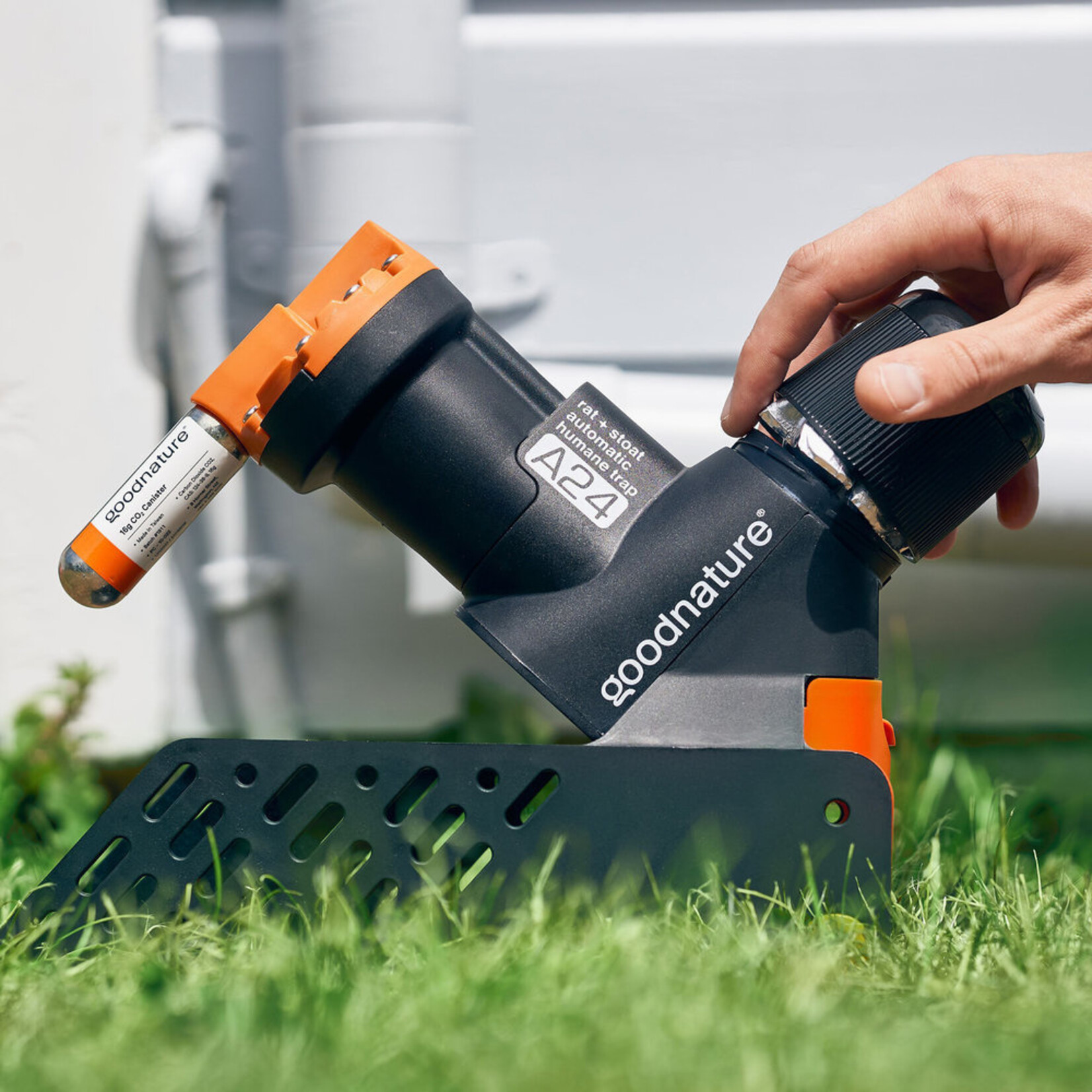 Goodnature Goodnature® Kit de recharge (6 mois) pour piège à rats A24 - Beurre de noix