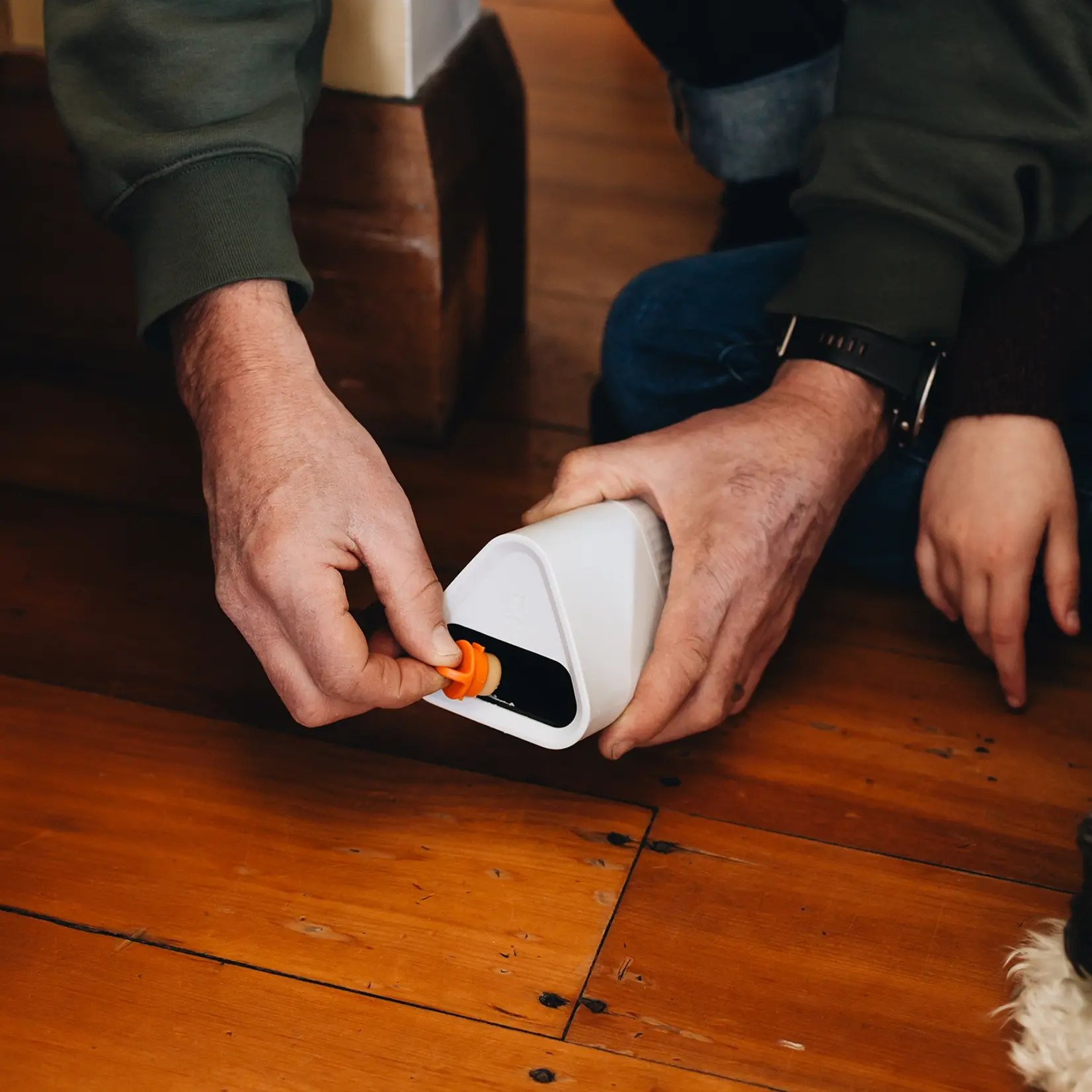 Goodnature Goodnature® Beignets aux cacahuètes pour piège à souris automatique