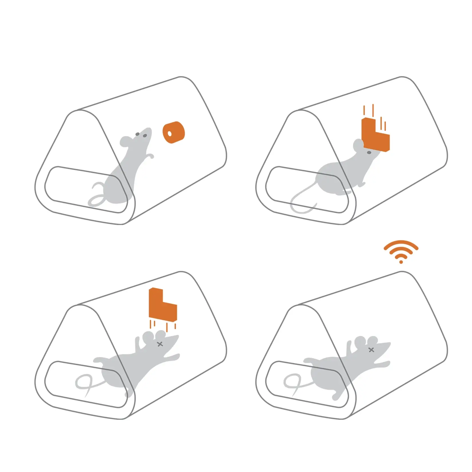 Goodnature Goodnature® Beignets aux cacahuètes pour piège à souris automatique