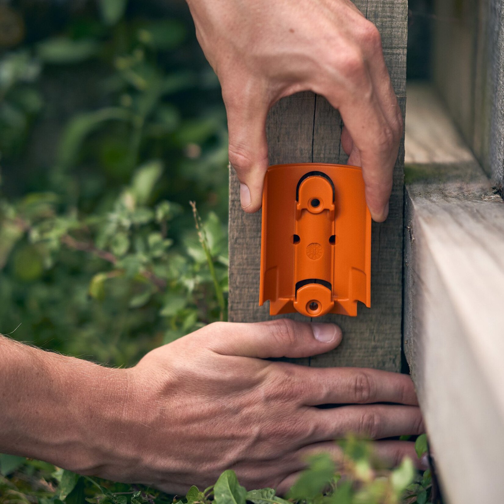 Goodnature Kit de montage sur arbre Goodnature® pour piège à rats A24