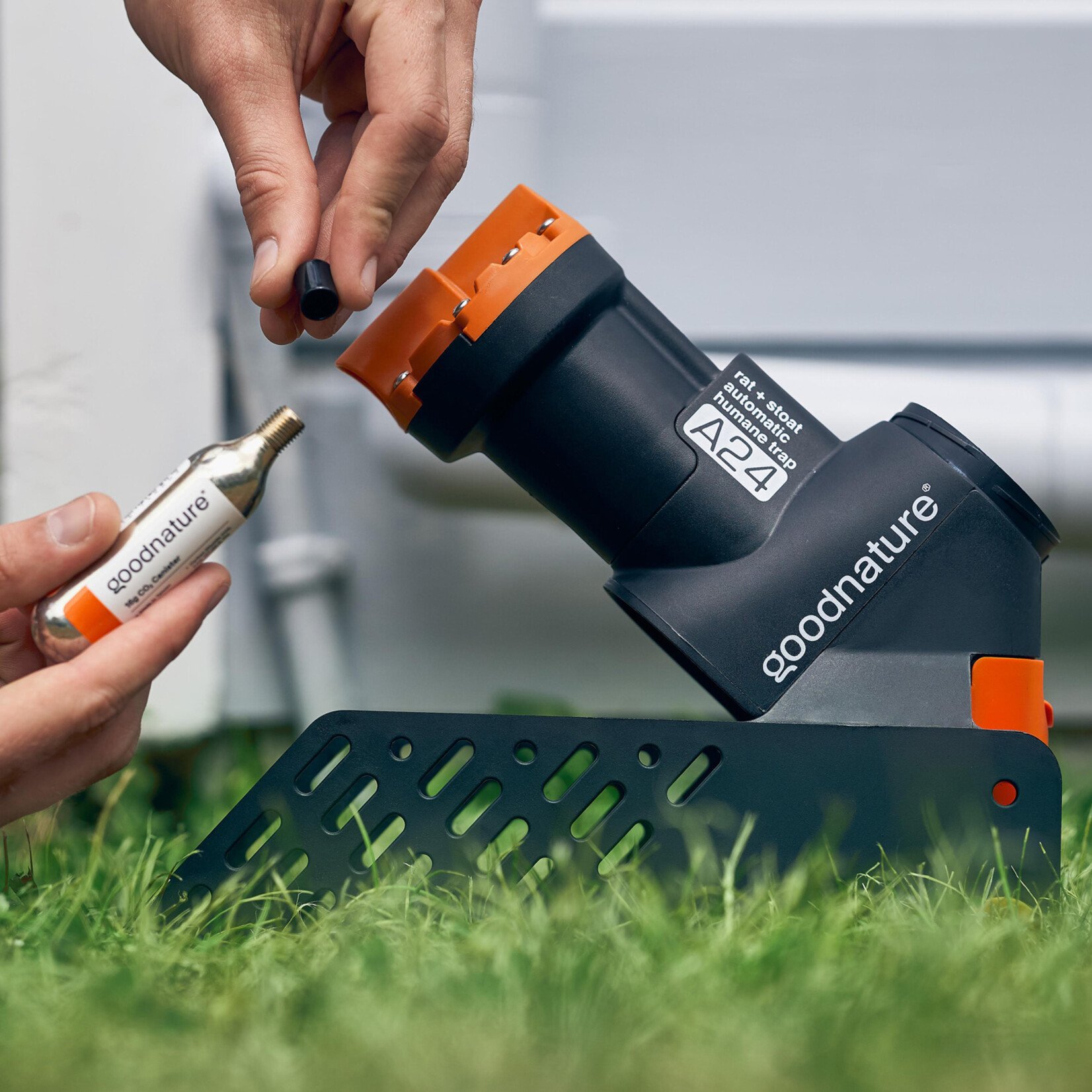 Goodnature Goodnature® Capsule de gaz pour piège à rats A24