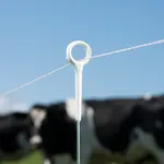 Guide d'achat des conducteurs pour bovins