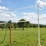 Guide d’achat des piquets pour clôture bovine