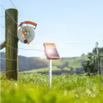 Guide d'achat d’électrificateur pour chevaux