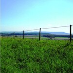 Guide d'achat des conducteurs pour moutons