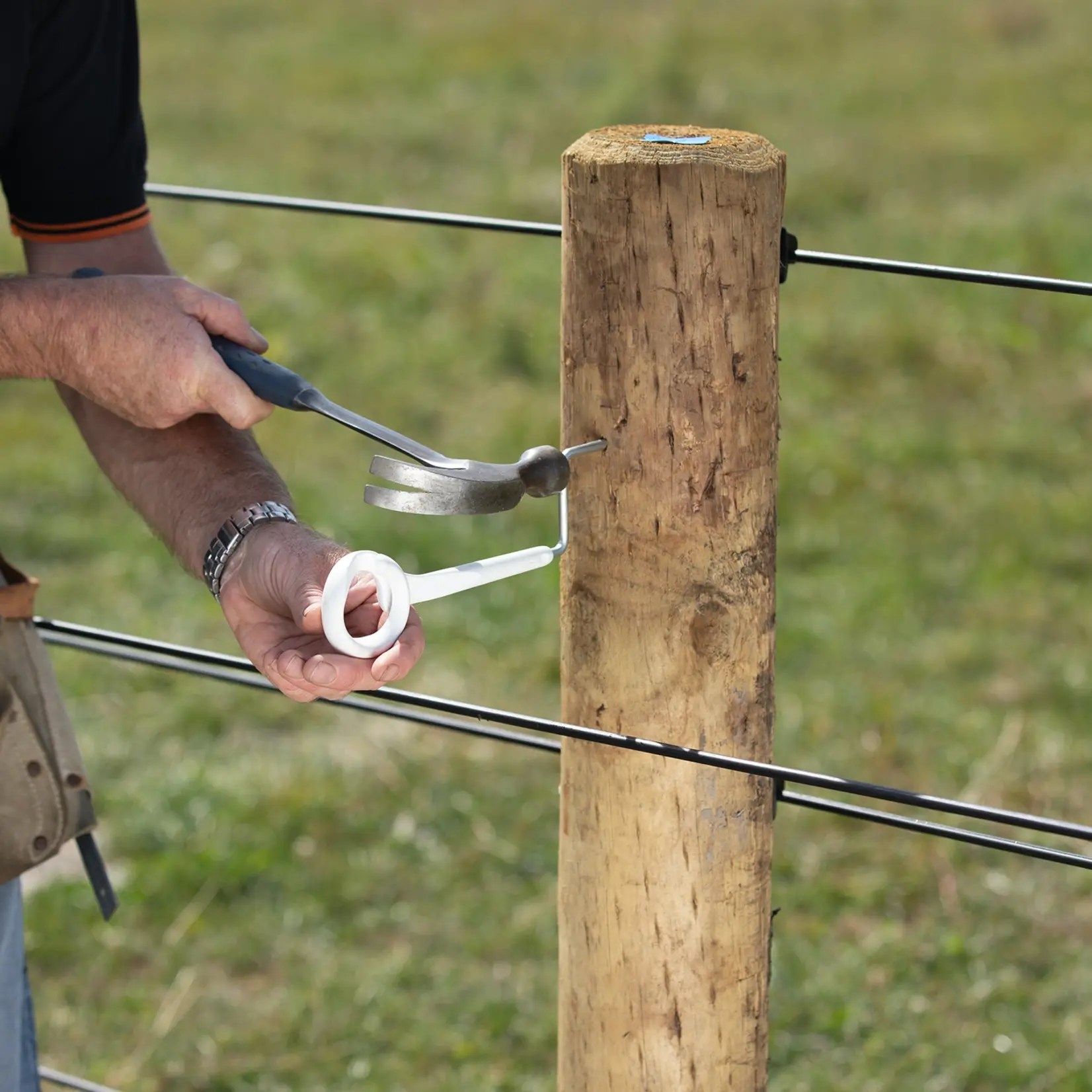 Gallagher 5 isolateurs à anneau Gallagher 17,5 cm