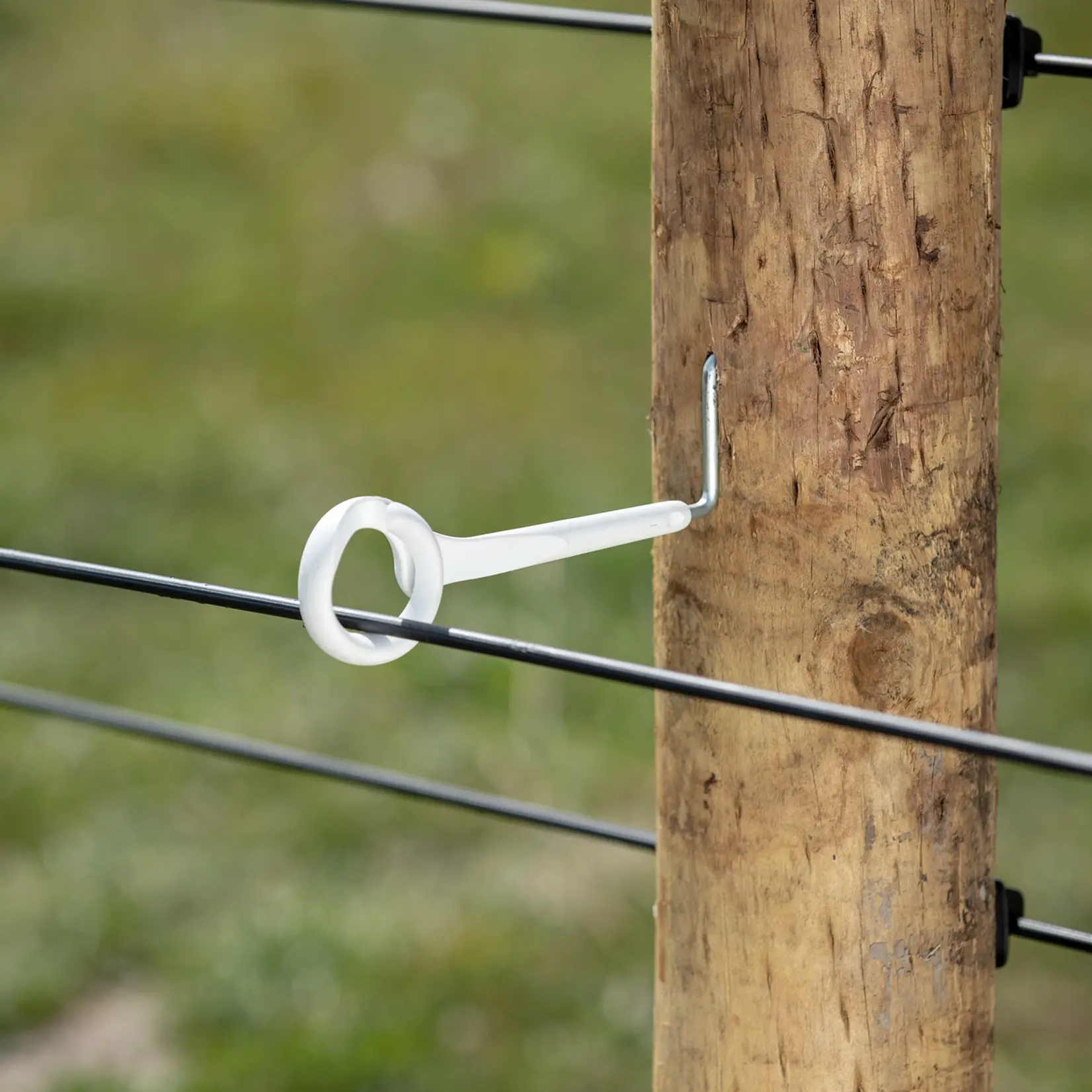 Gallagher 5 isolateurs à anneau Gallagher 17,5 cm