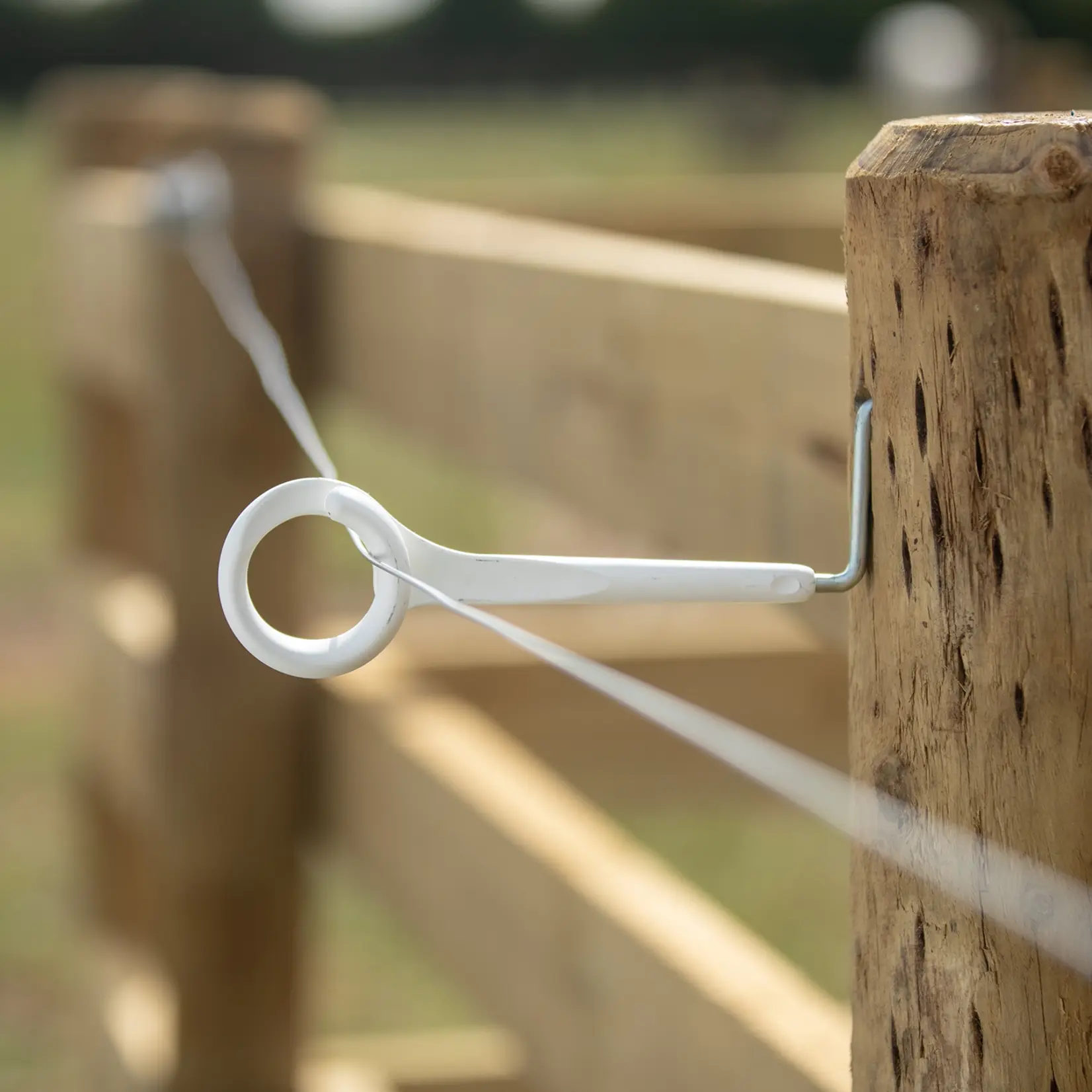 Gallagher 5 isolateurs à anneau Gallagher 17,5 cm