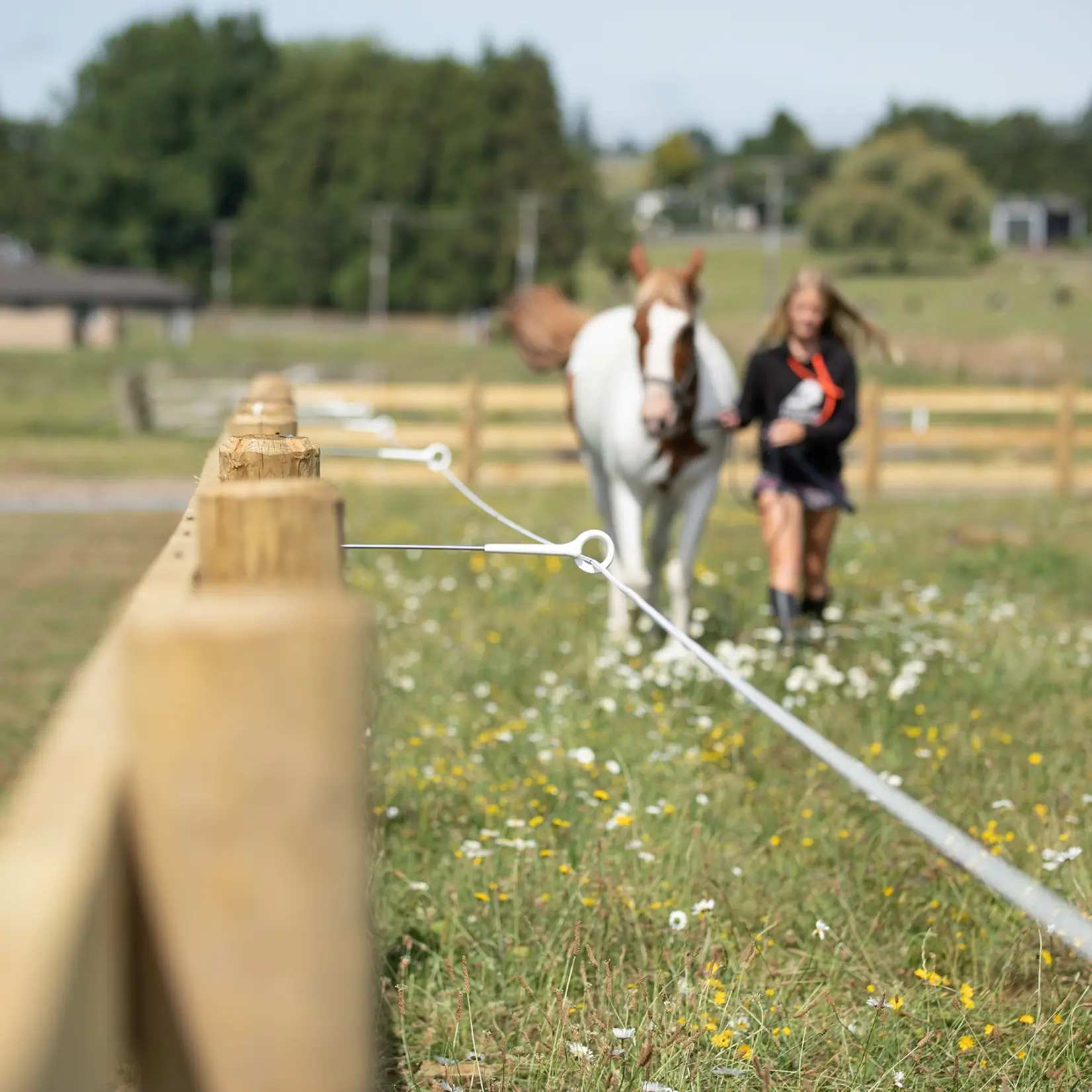 Gallagher 5 isolateurs à anneau Gallagher 40 cm