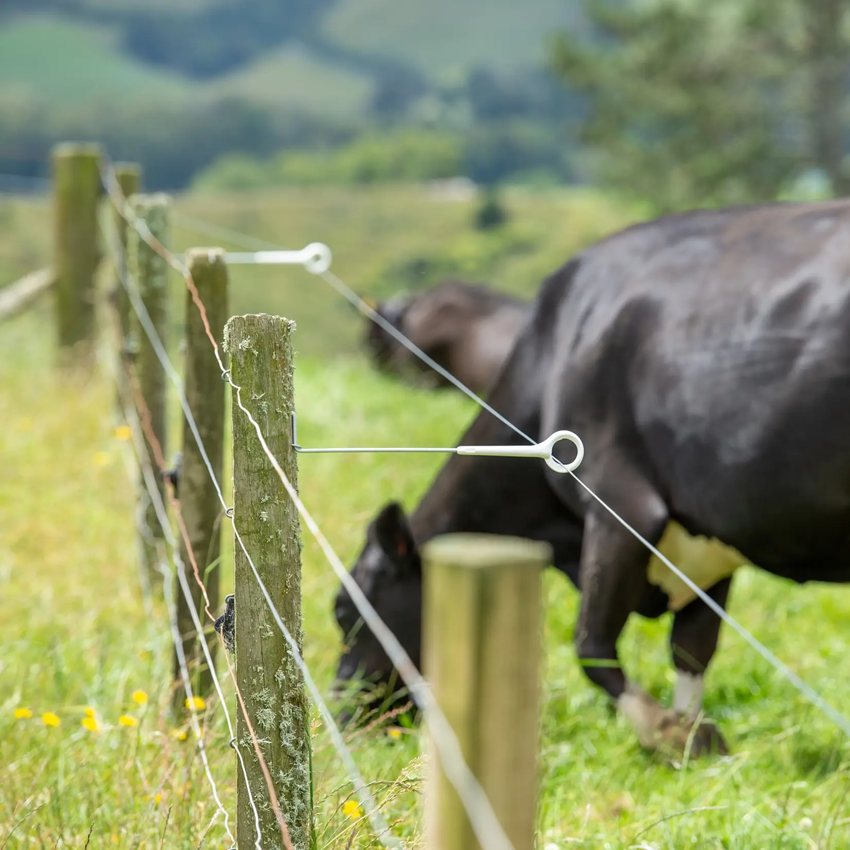 Gallagher 5 isolateurs à anneau Gallagher 40 cm