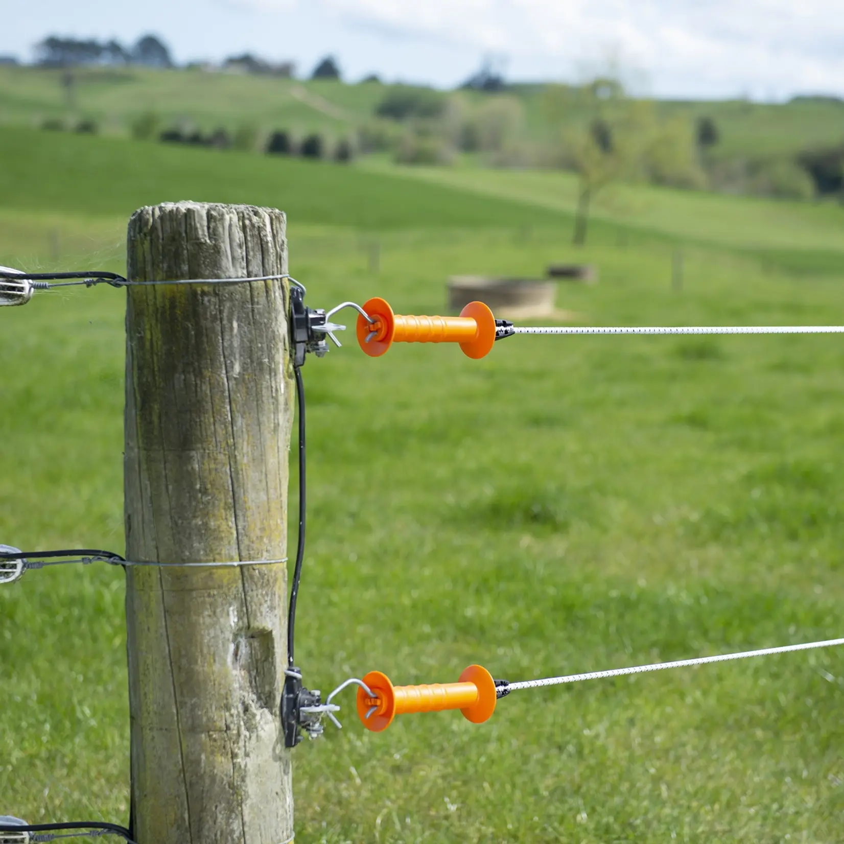 Gallagher 10 clips Gallagher pour corde élastique (Bungy Gripper)