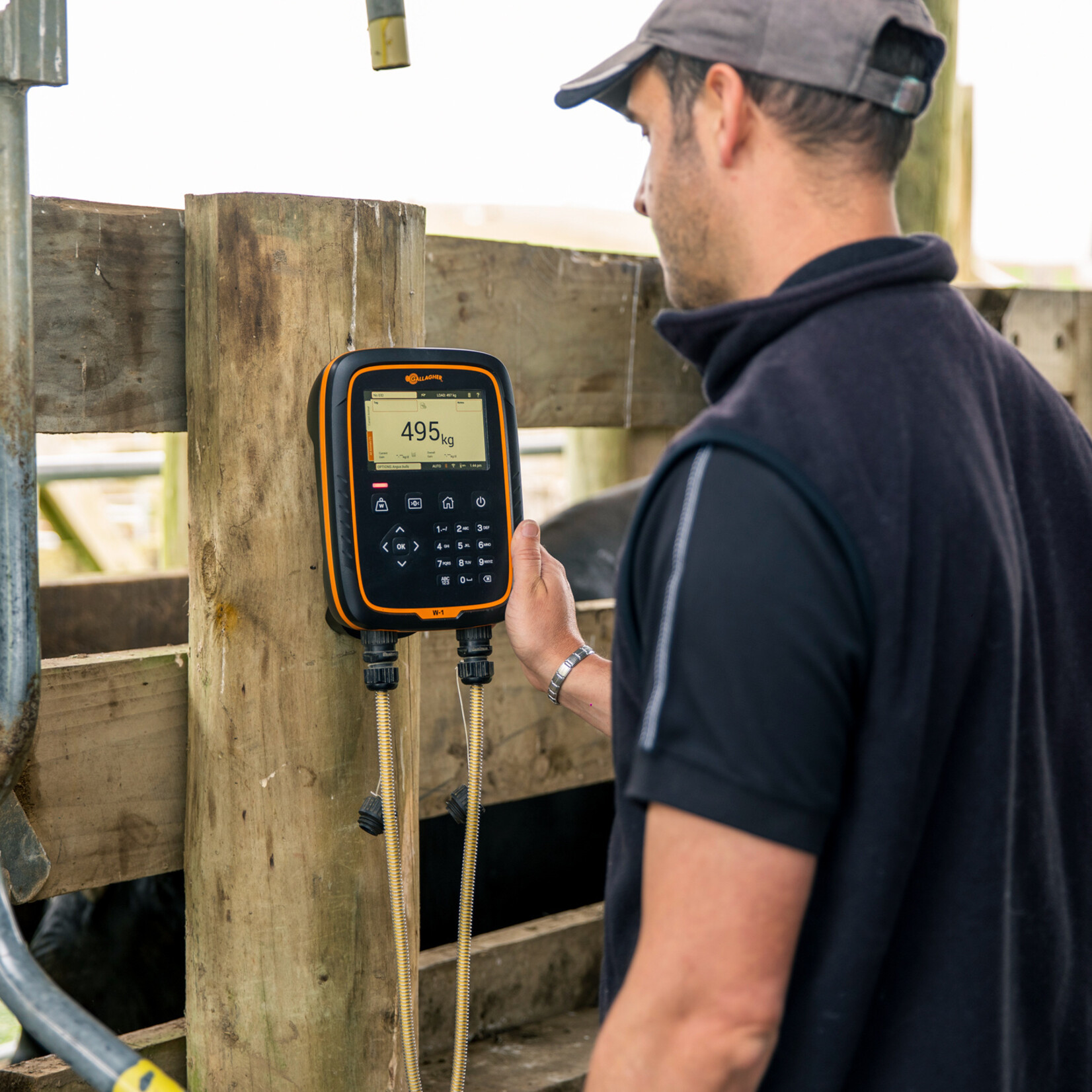 Gallagher Kit de pesée sans fil Gallagher 600/W-1