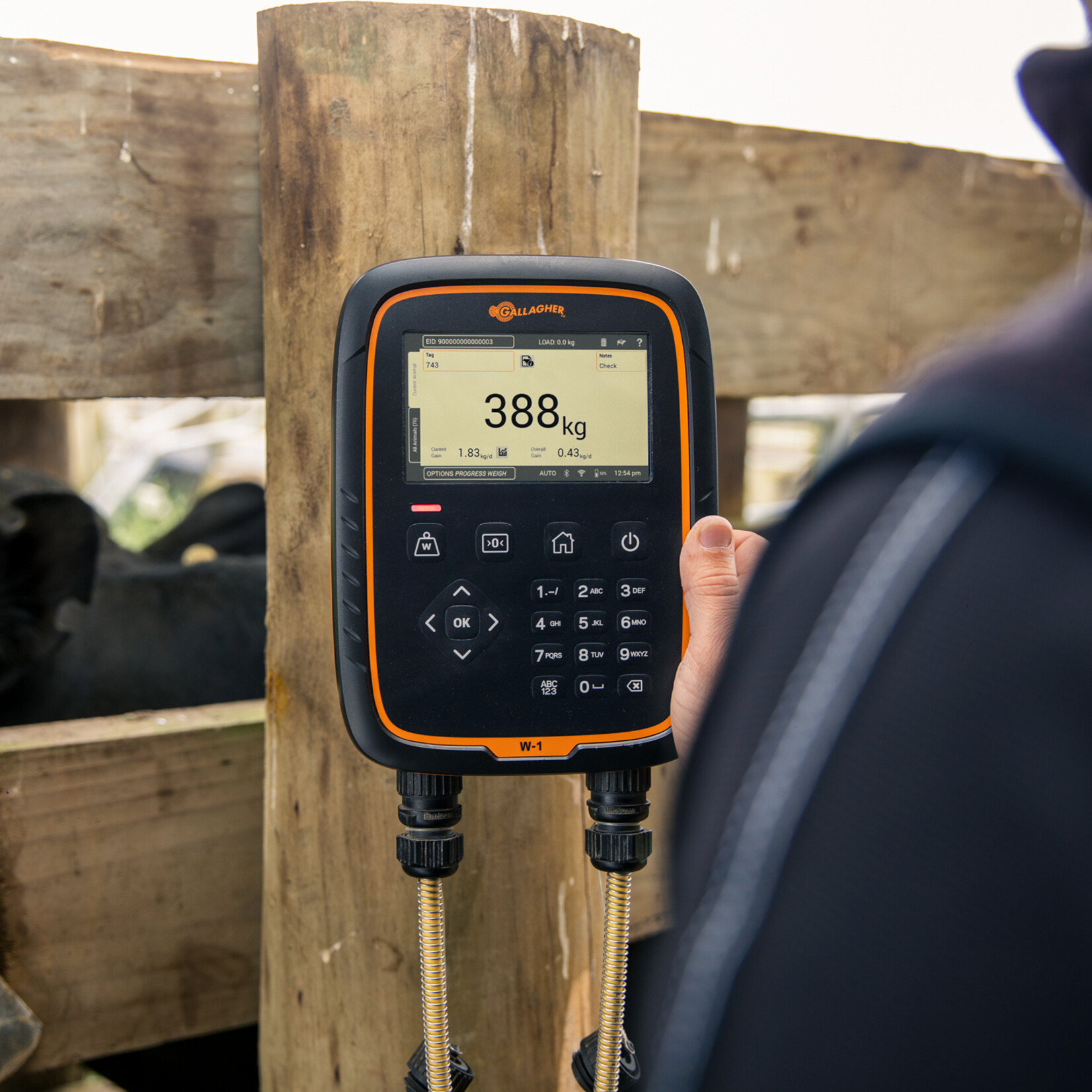 Gallagher Kit de pesée sans fil Gallagher 1000/W-1