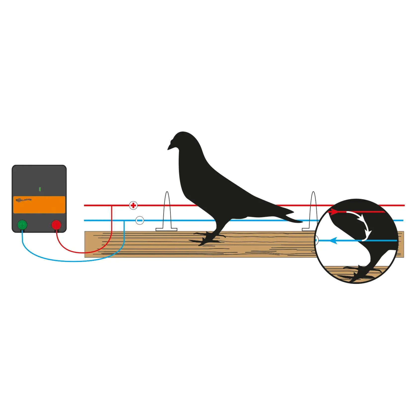 Gallagher Kit de clôture anti-oiseaux Gallagher – 15 m