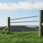 Pourquoi les joules sont essentiels lors du choix d’un électrificateur de clôture électrique