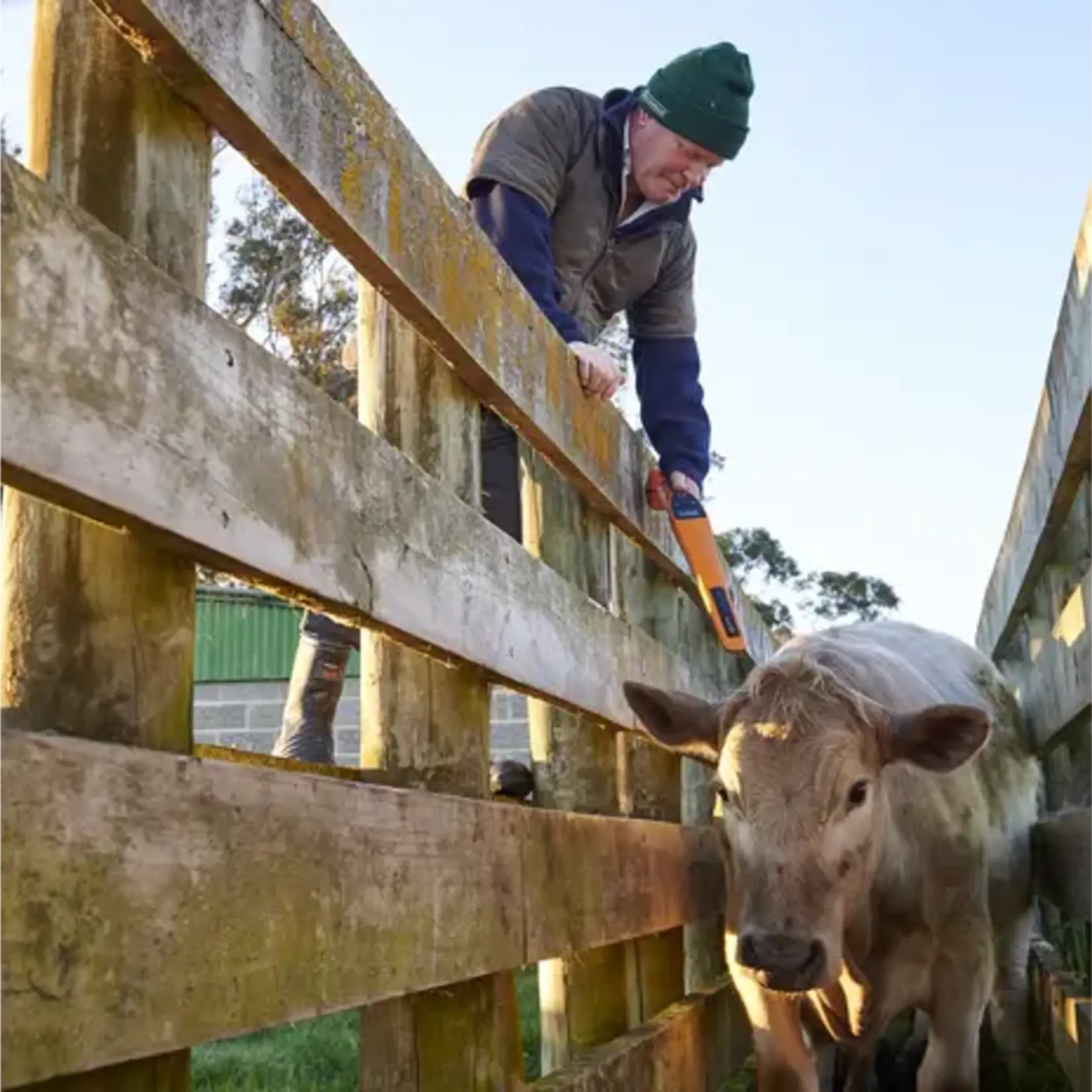 Gallagher Gallagher EID-øremerke-læser SmartReader HR0