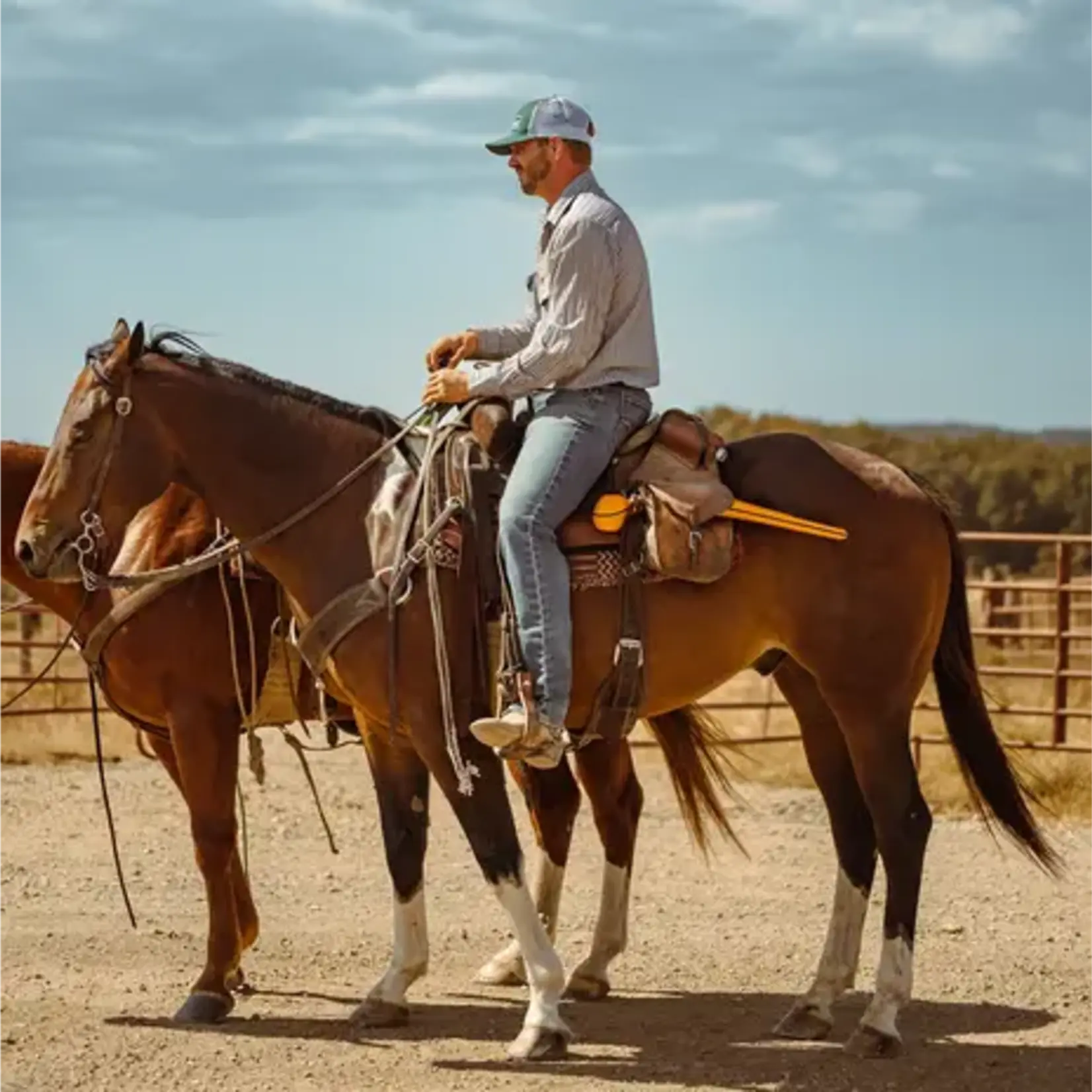 Gallagher Gallagher EID-øremerke-læser SmartReader HR0