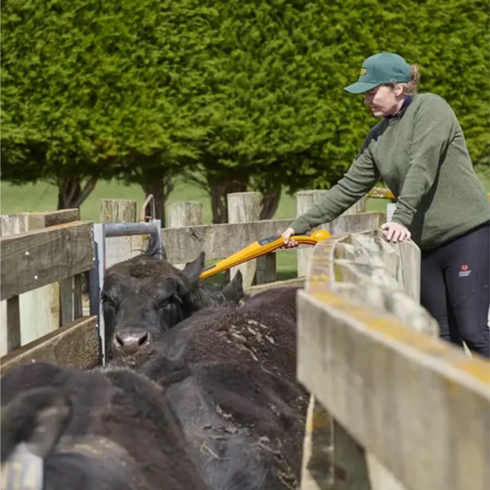 Gallagher Gallagher EID-øremerke-læser SmartReader HR0