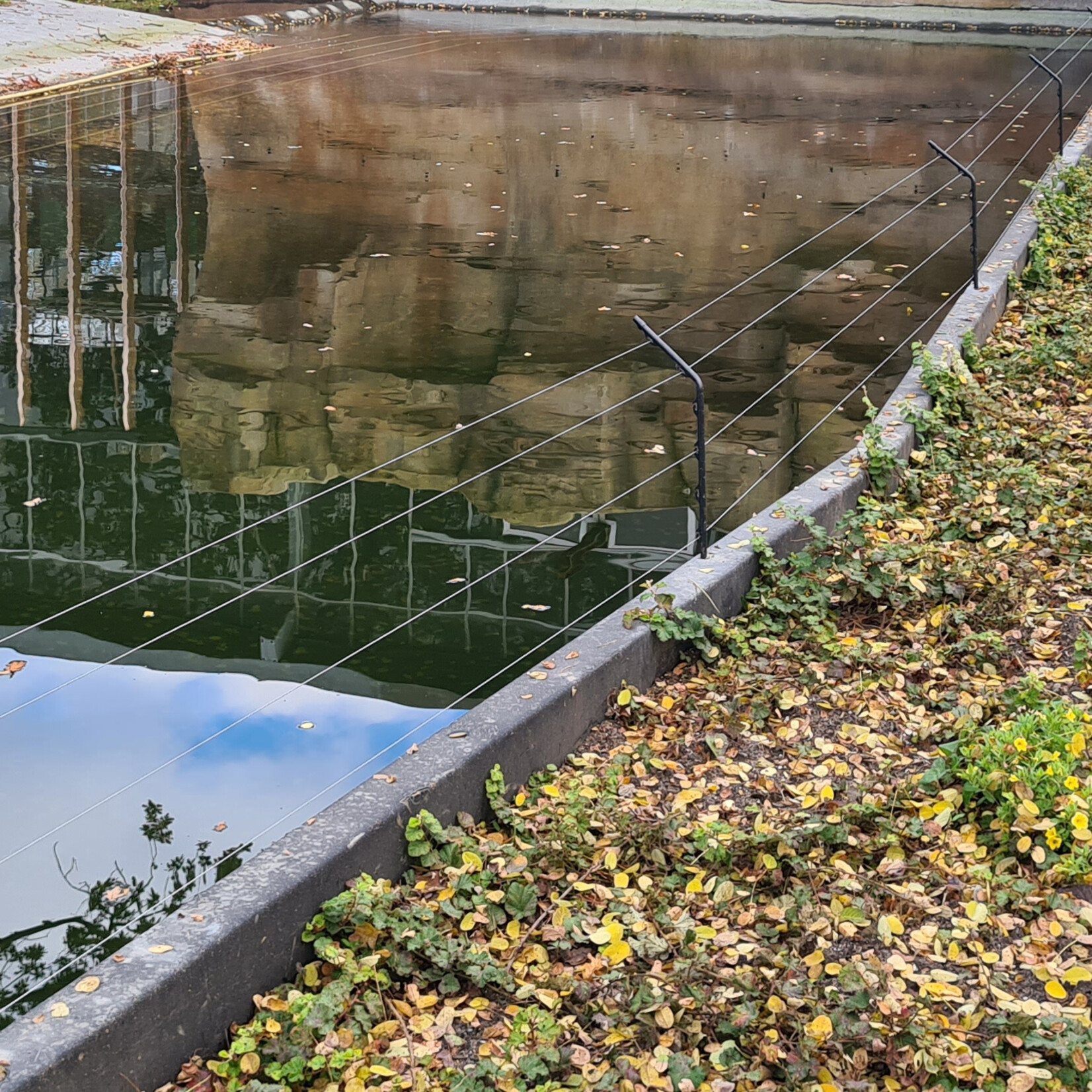 Gallagher 5 piquets de jardin coudés Gallagher - 65 cm