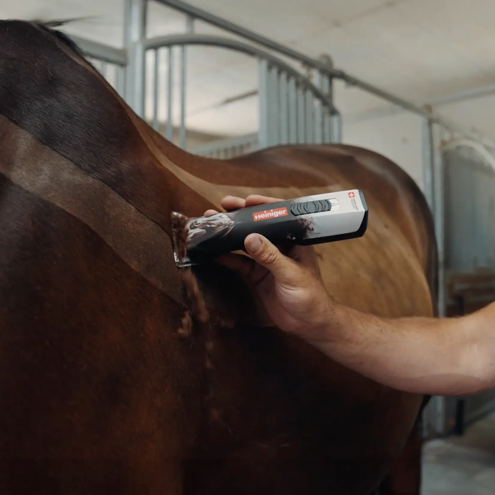 Heiniger Tondeuse Heiniger Opal Horse – 1 batterie