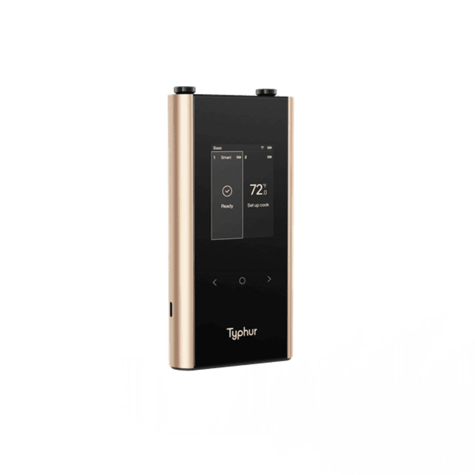Typhur Typhur Thermometer Sync Gold Dual